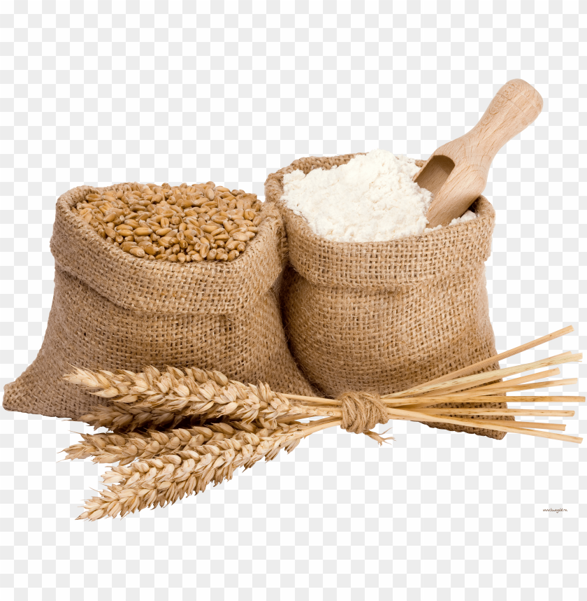 Sacks of wheat and flour with a wooden scoop and wheat stalks PNG