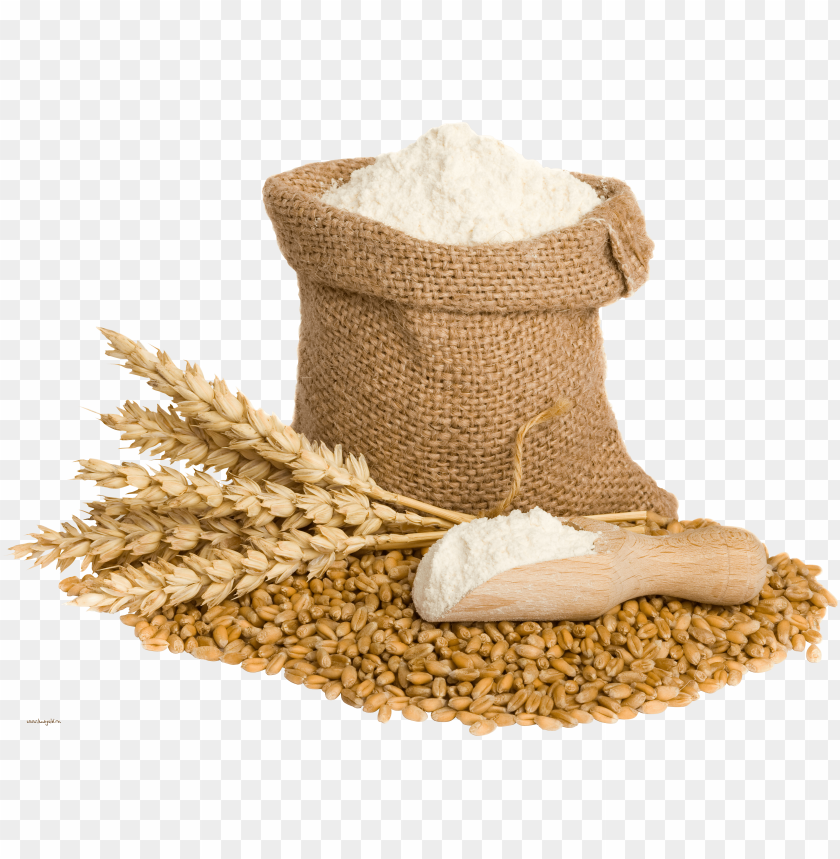 Sack of flour with wheat grains and stalks on a white background PNG