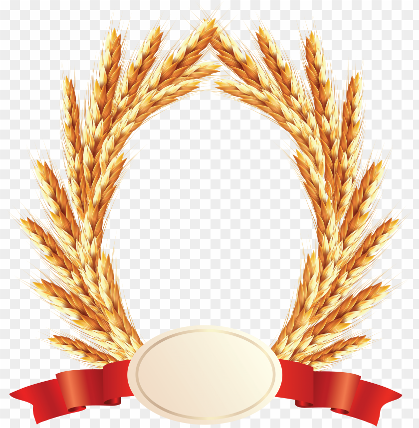 Golden wheat laurel wreath with a blank ribbon for awards or achievements PNG