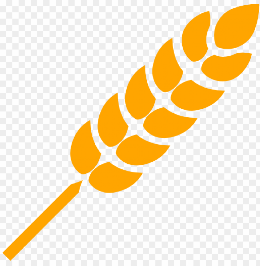 An orange wheat ear icon on a transparent background PNG