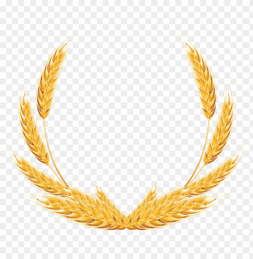 wheat png, download png image with transparent background, png image: wheat png, free png image, wheat