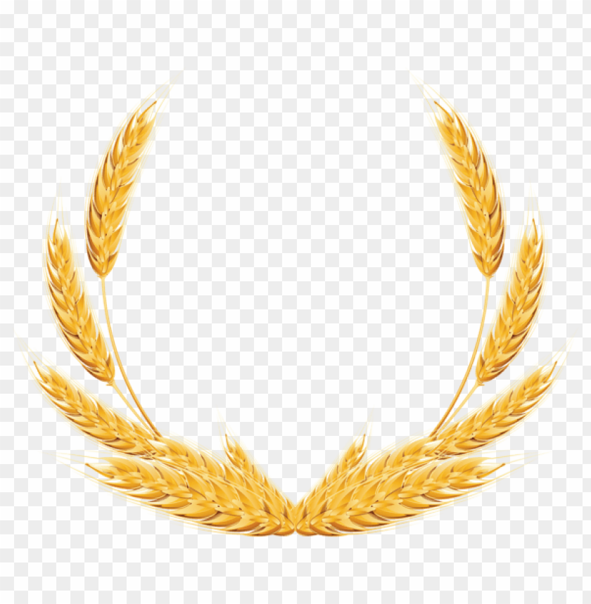 Golden wheat laurel wreath emblem representing achievement and success PNG