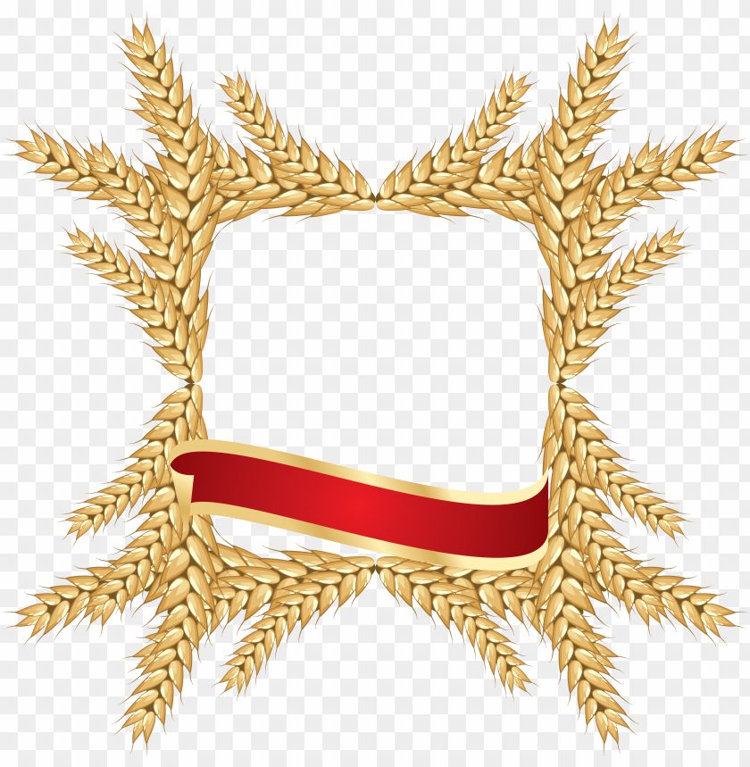 Golden wheat frame with a red ribbon at the bottom, transparent background PNG