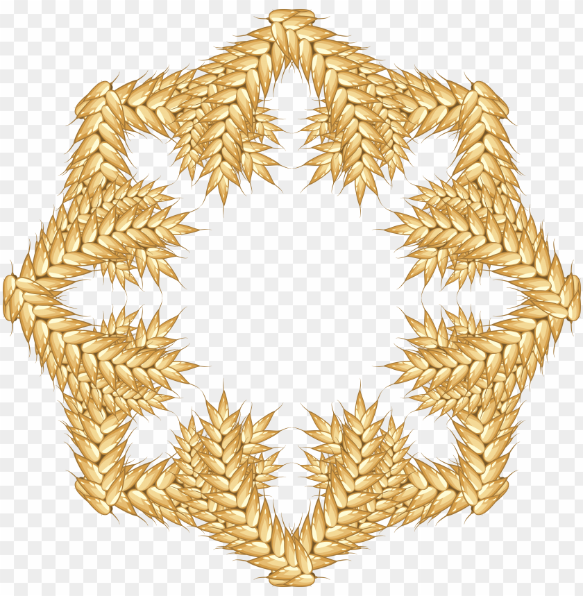 Golden wheat sheaf circular design on a transparent background PNG