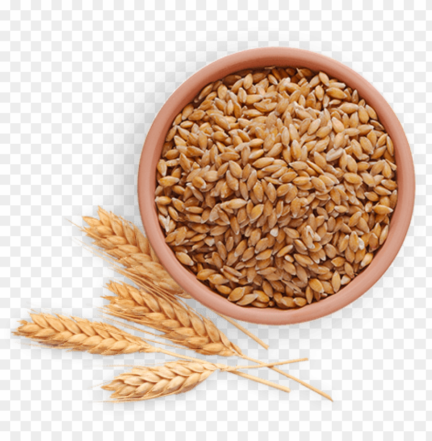 Bowl of golden flax seeds with wheat stalks on a transparent background PNG