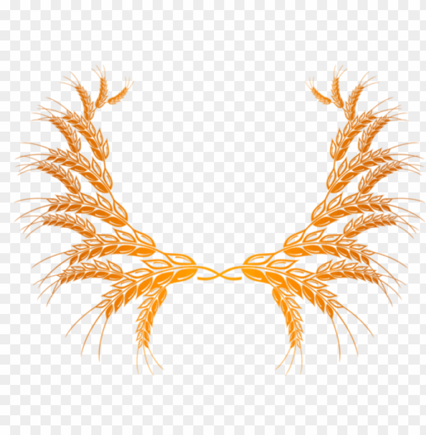 wheat png,wheat png image,wheat png file,wheat plant png,wheat bread png,wheat images png,wheat images clip art