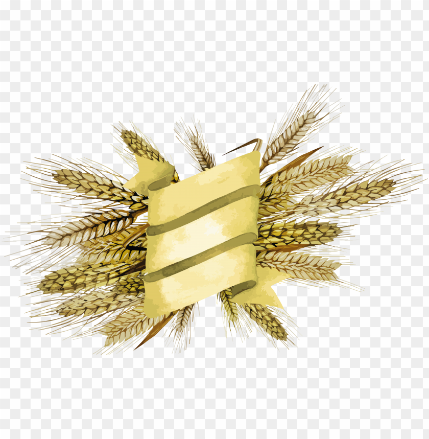 Decorative yellow ribbon with wheat stalks background PNG