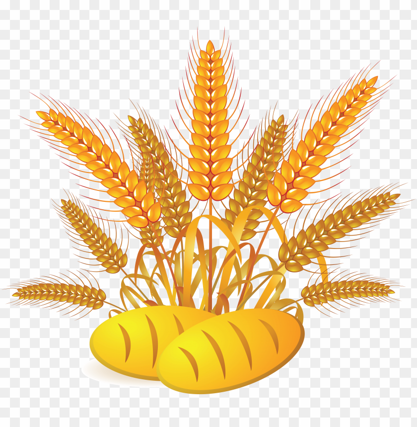 Wheat stalks with loaves of bread on a transparent background PNG