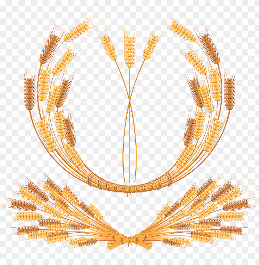 A decorative wreath of golden wheat stalks in a circular arrangement PNG