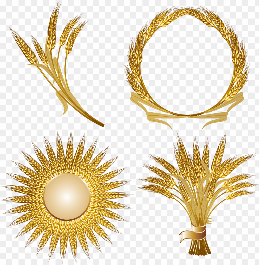 Set of golden wheat designs, including wreath and bundle decorations PNG