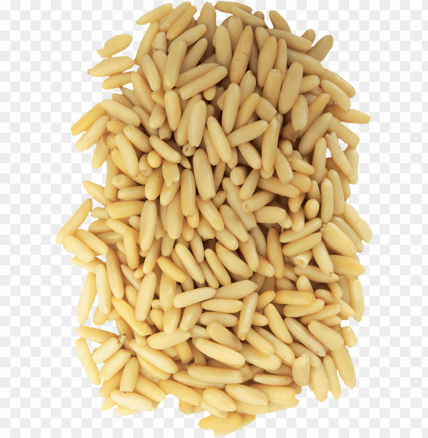 A pile of raw pine nuts on a transparent background PNG