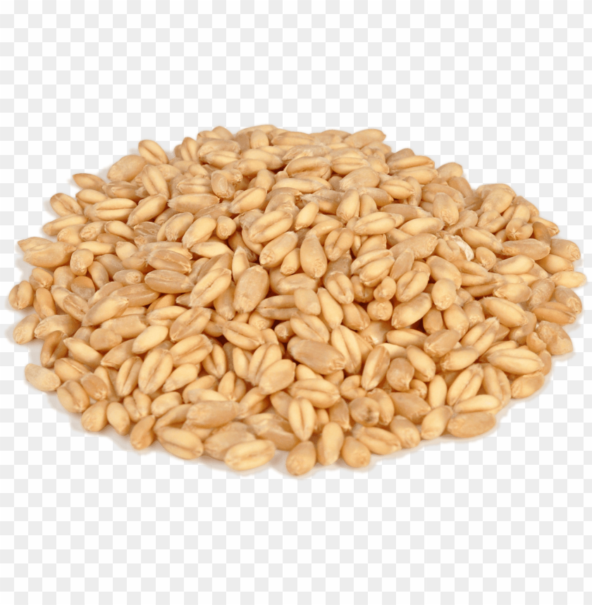 
wheat
, 
grain
, 
cereal
, 
seed
