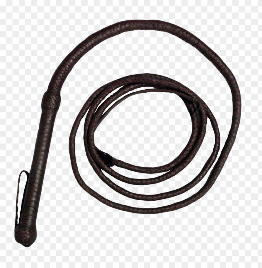 
whip
, 
whipstrike
, 
traditionally
, 
exert control
, 
leather
