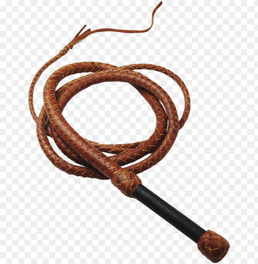 Brown braided whip on a transparent background.