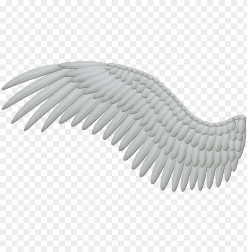 bird wings, angel wings, angel wings clipart, black angel wings, angel wings vector, chicken wings