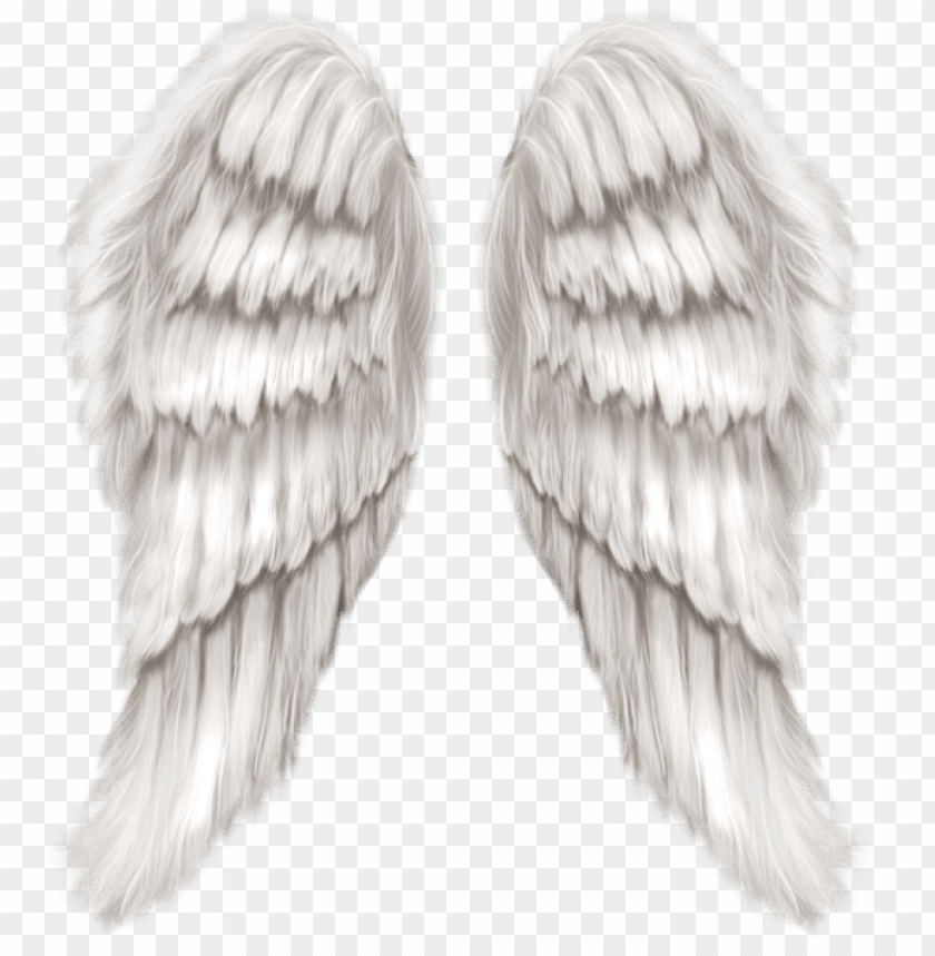 white angel wings transparent