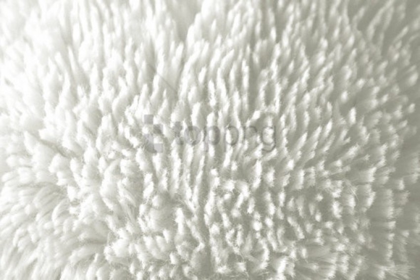 white background textures, texture,whitebackground,background,white,textures