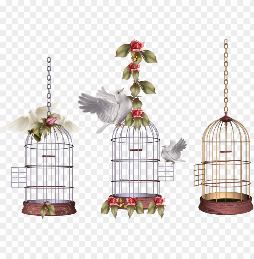 
cage
, 
mesh
, 
wires
, 
animal
, 
bird
