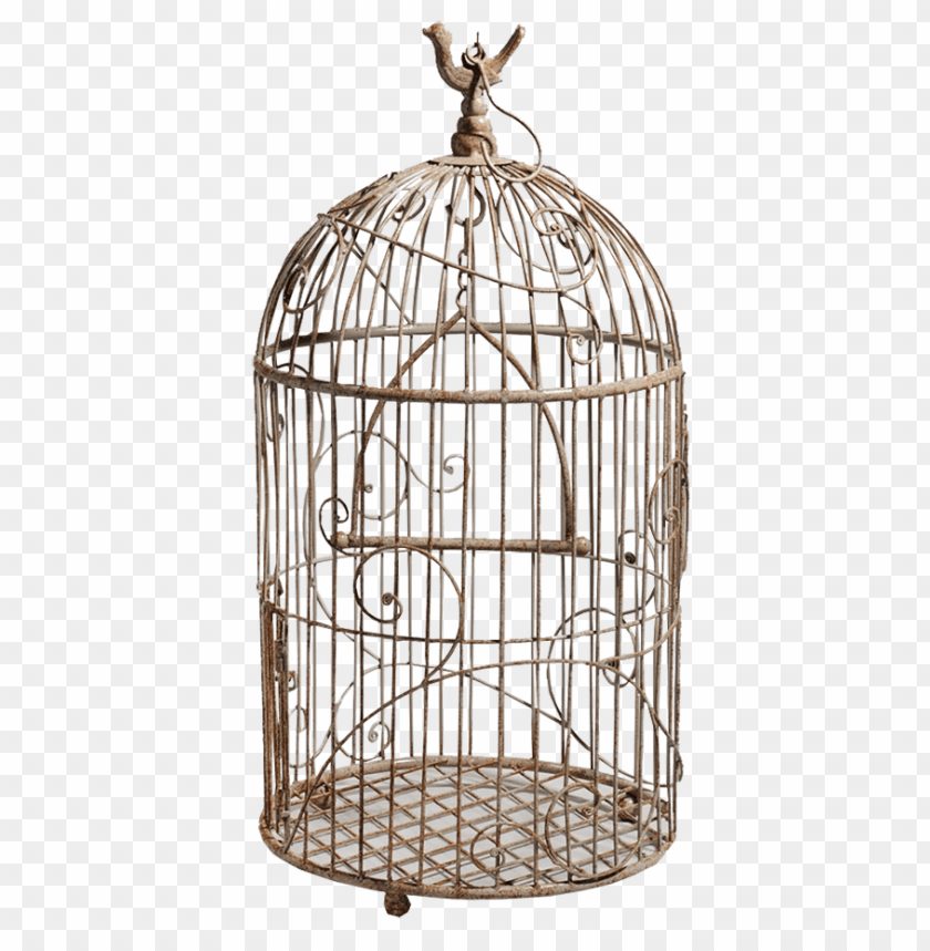 
cage
, 
mesh
, 
wires
, 
animal
, 
bird
