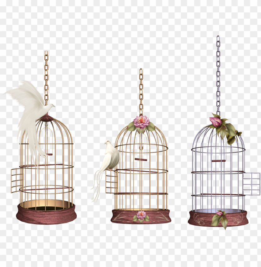 
cage
, 
mesh
, 
wires
, 
animal
, 
bird
