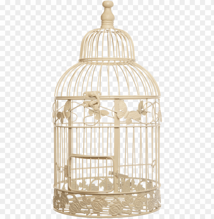 
cage
, 
mesh
, 
wires
, 
animal
, 
bird
