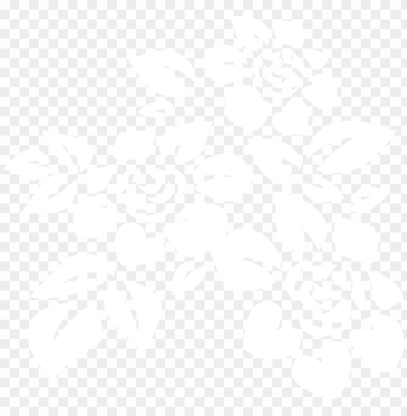 white deco flowers transparent