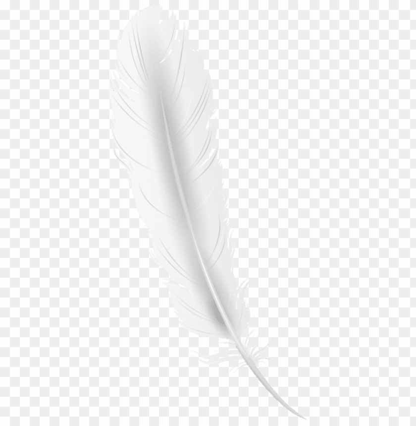 white feather