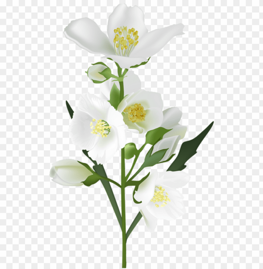 white flower