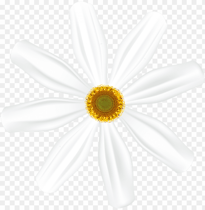 white flower