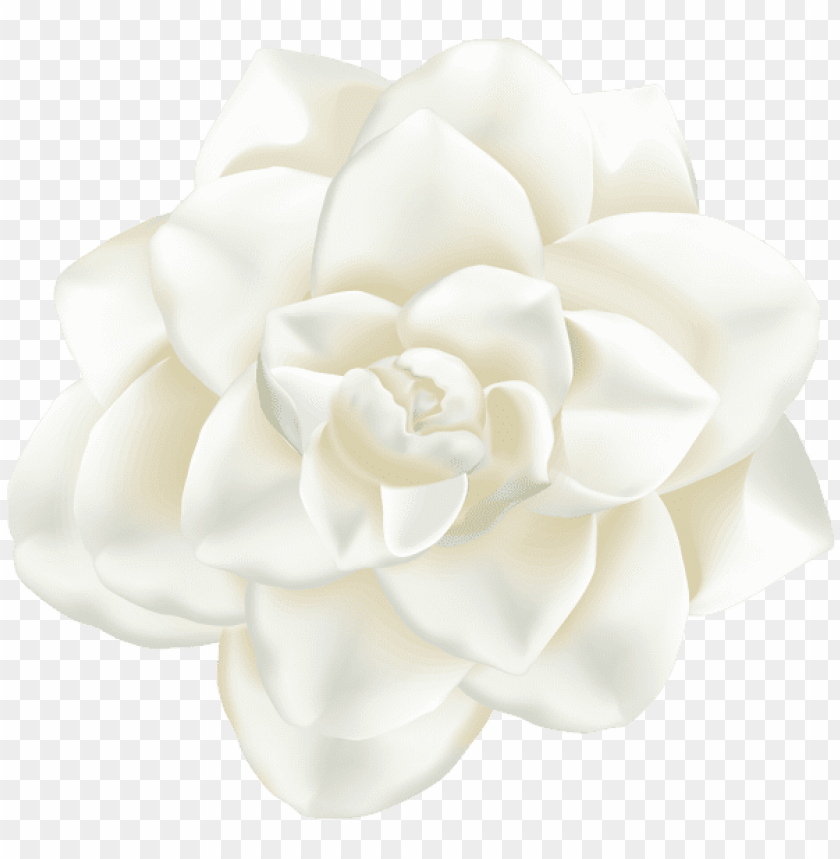 white flower