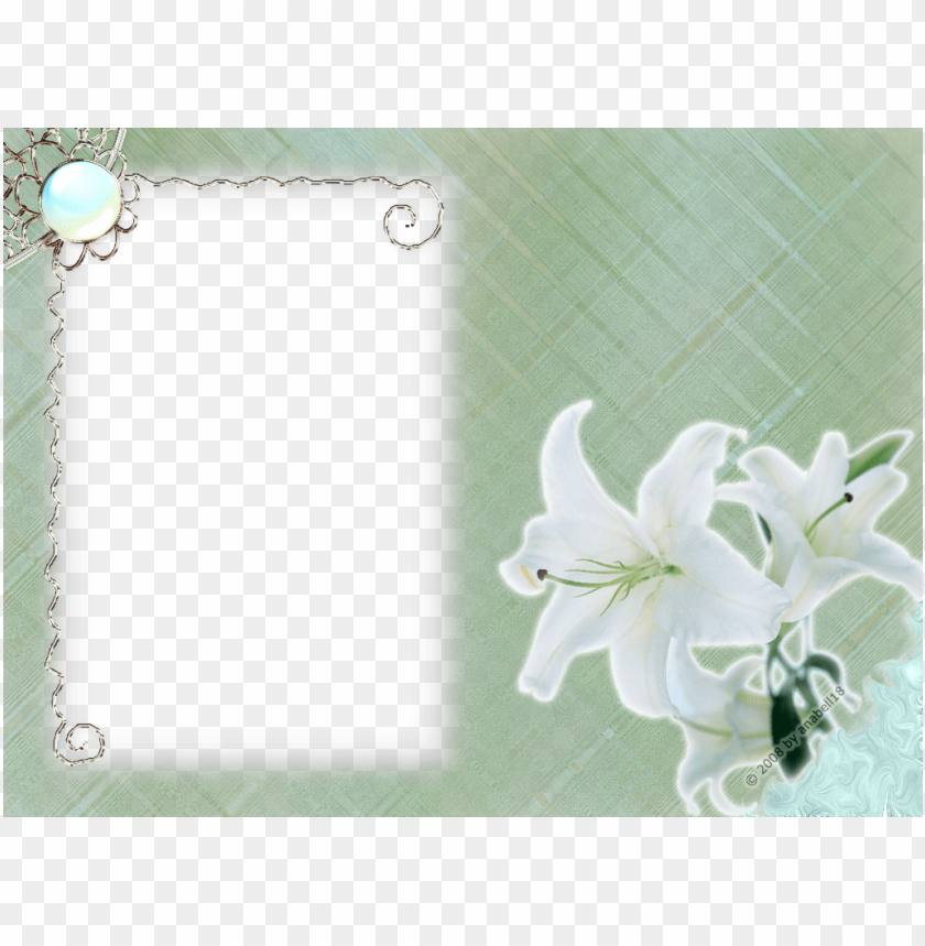 isolated, borders, design, vintage frames, border, decorative frames, illustration