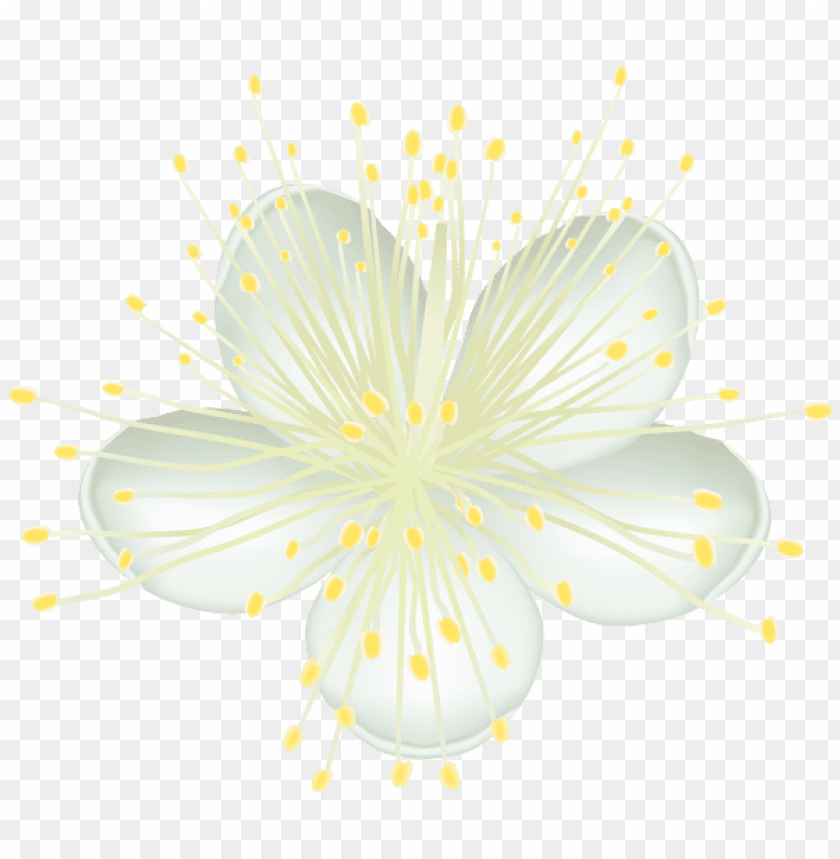 white flower png