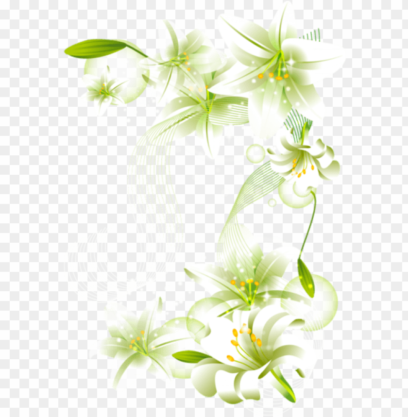 white flowers element free transparent