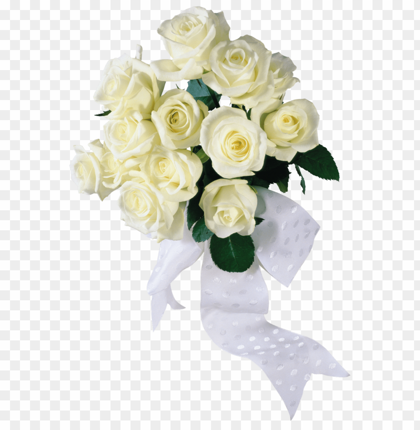 
white roses
, 
woody perennial flowering
, 
flower it bears
, 
flowers
