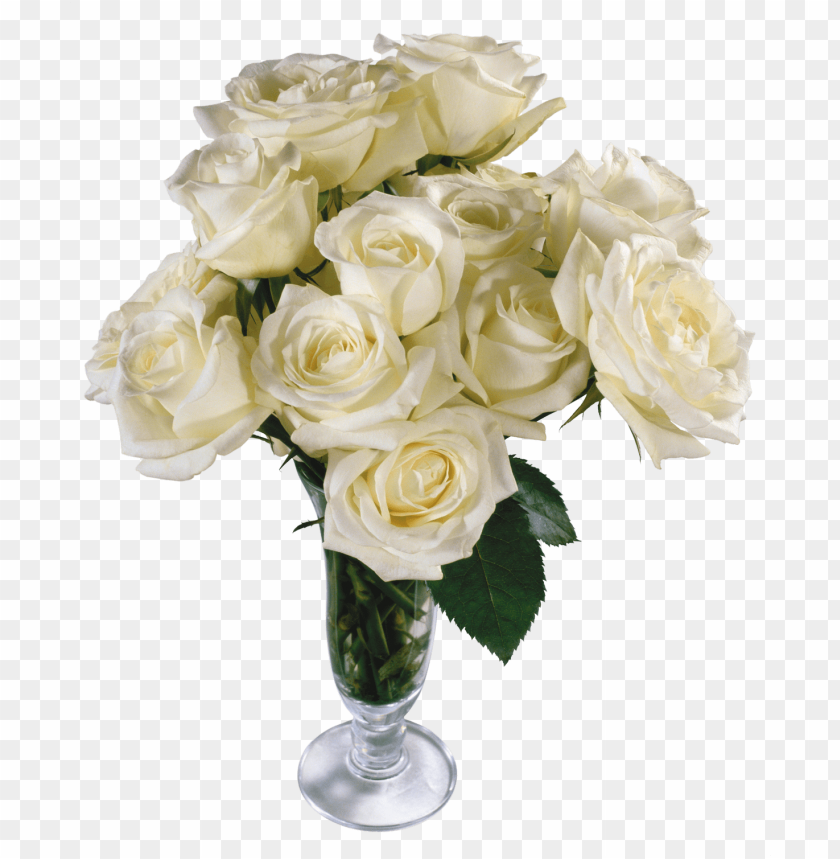 
white roses
, 
woody perennial flowering
, 
flower it bears
, 
flowers
