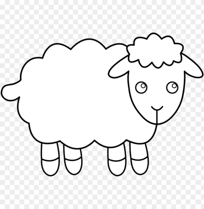 white sheep png, png,sheep,white,whites