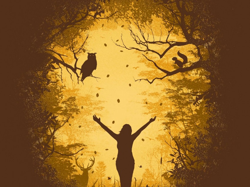 Wildlife Silhouettes Animals Freedom Art Background