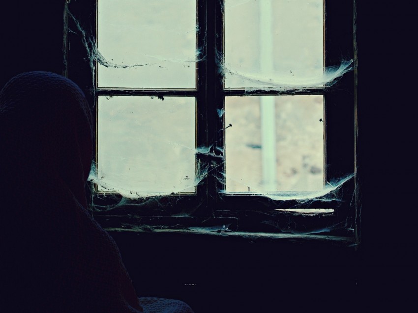 window, cobweb, loneliness, abandoned, alone, hopelessness