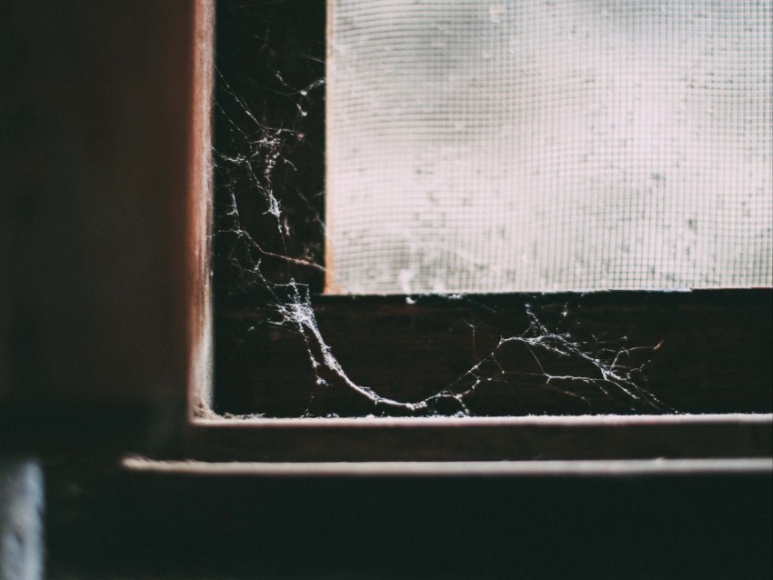 Window Cobweb Macro Old Abandoned Dark Background