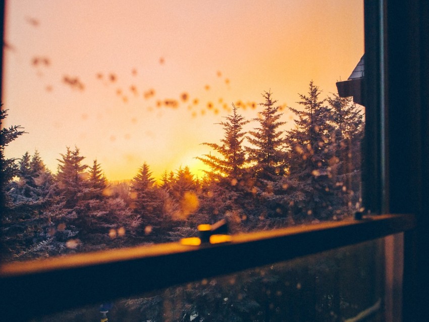 window, sunset, trees, sky, view, overview