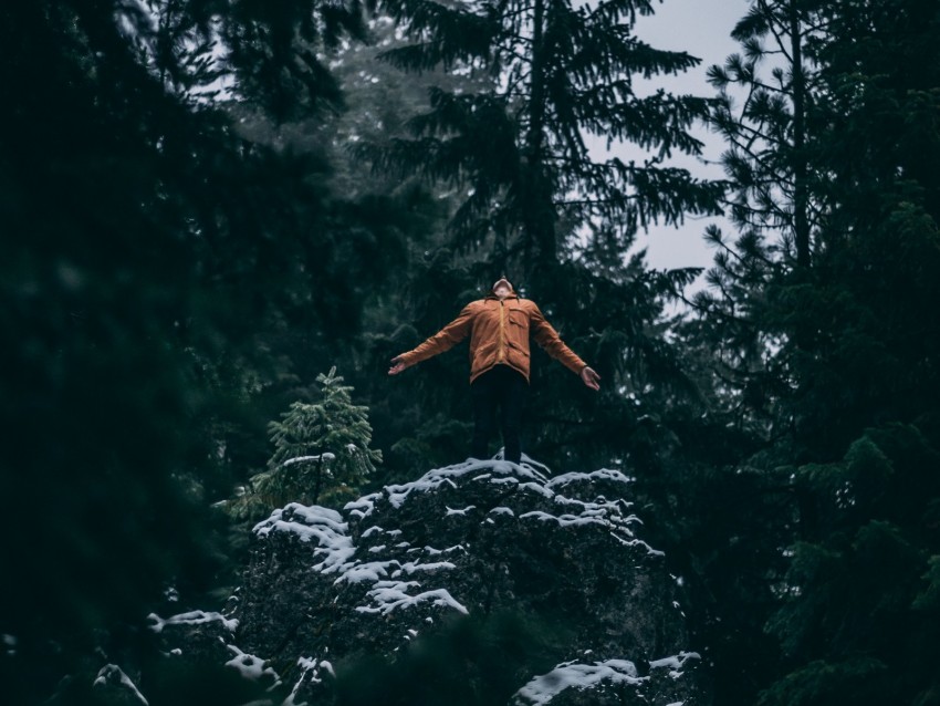 winter, man, solitude, freedom, snow