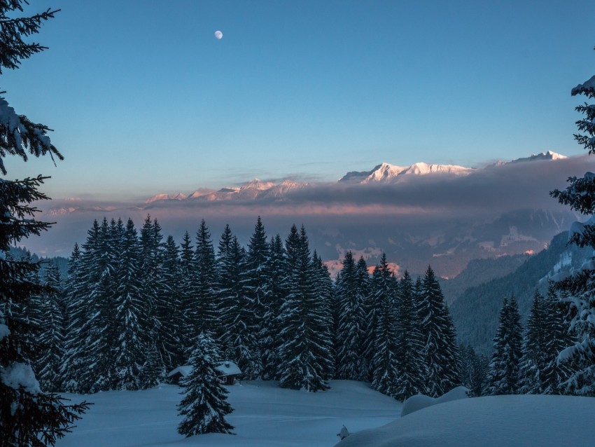 winter, mountains, snow, trees, twilight