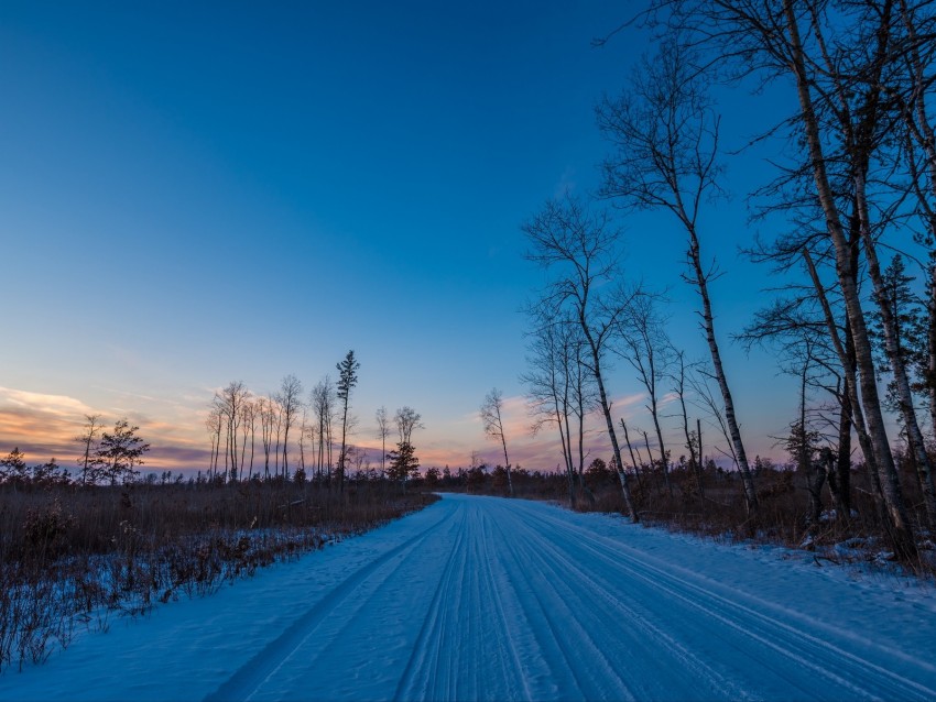 winter, road, trees, horizon, sky