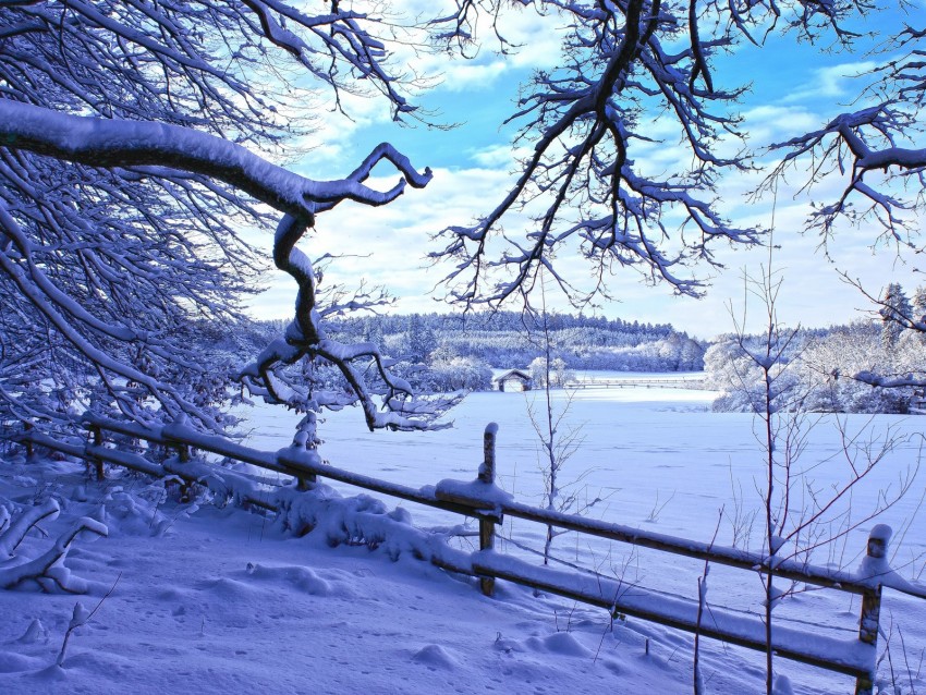 winter, snow, branches, fence, winter landscape