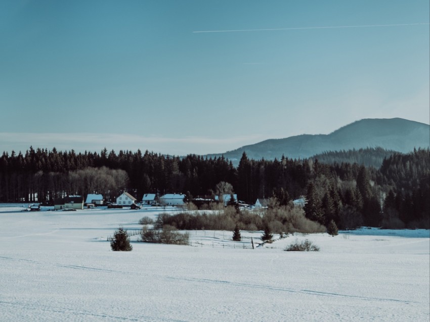 Winter Snow Landscape Village Trees Background