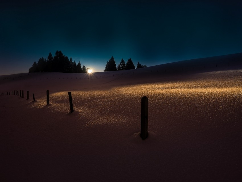 winter, snow, night, trees, light