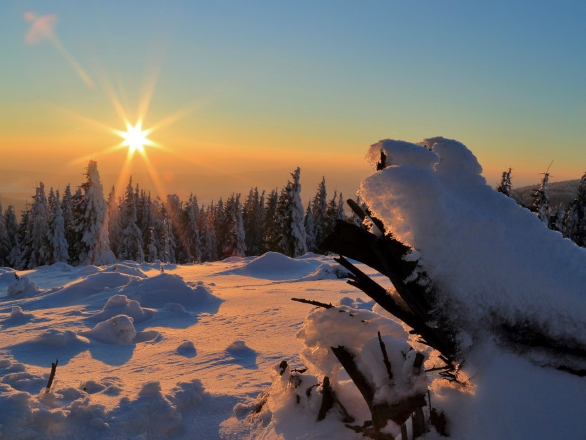 winter, snow, sunset, drifts, trees