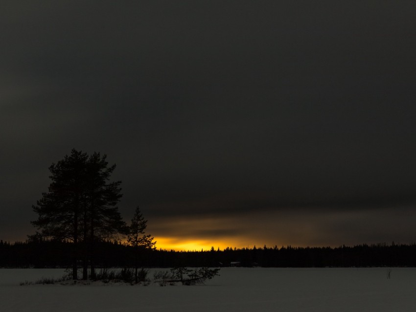 Winter Sunset Horizon Snow Night Trees Background