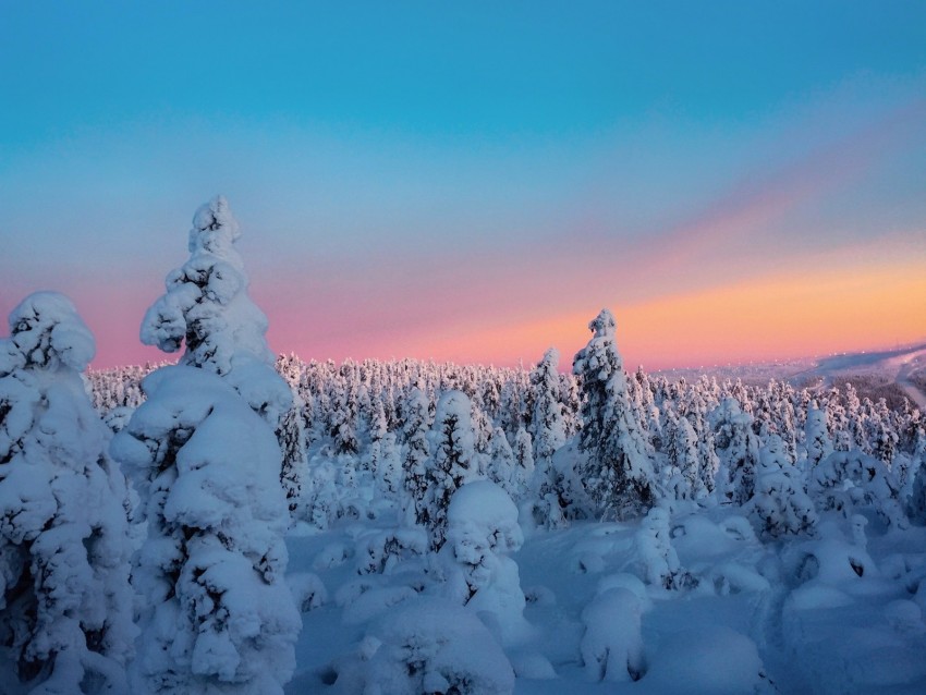 winter, trees, snow, horizon, snowy