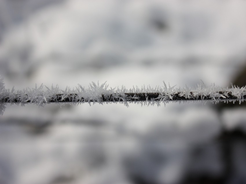 wire, hoarfrost, frost, crystals, metallic, freeze, macro